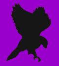 Buzzard logo